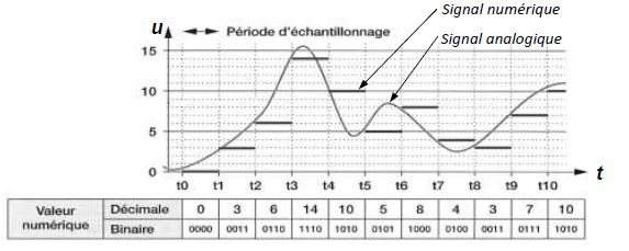 signal_numerique